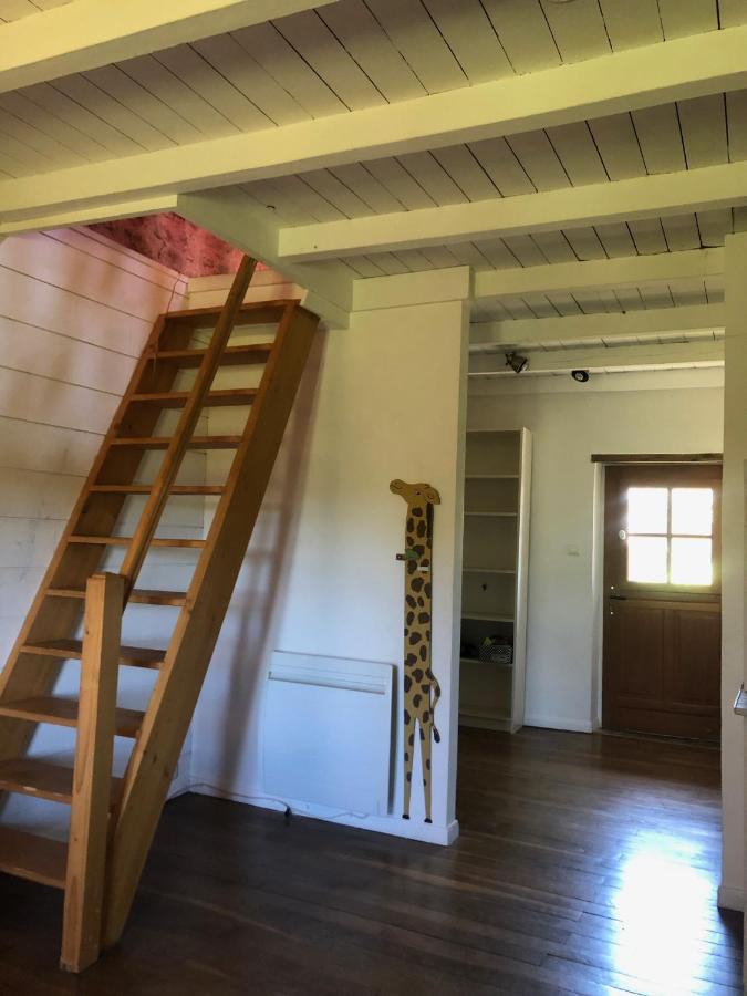 Grande Maison Familiale, Rustique Et Charmante En Bourgogne, Dans Le Morvan Dun-sur-Grandry Ngoại thất bức ảnh